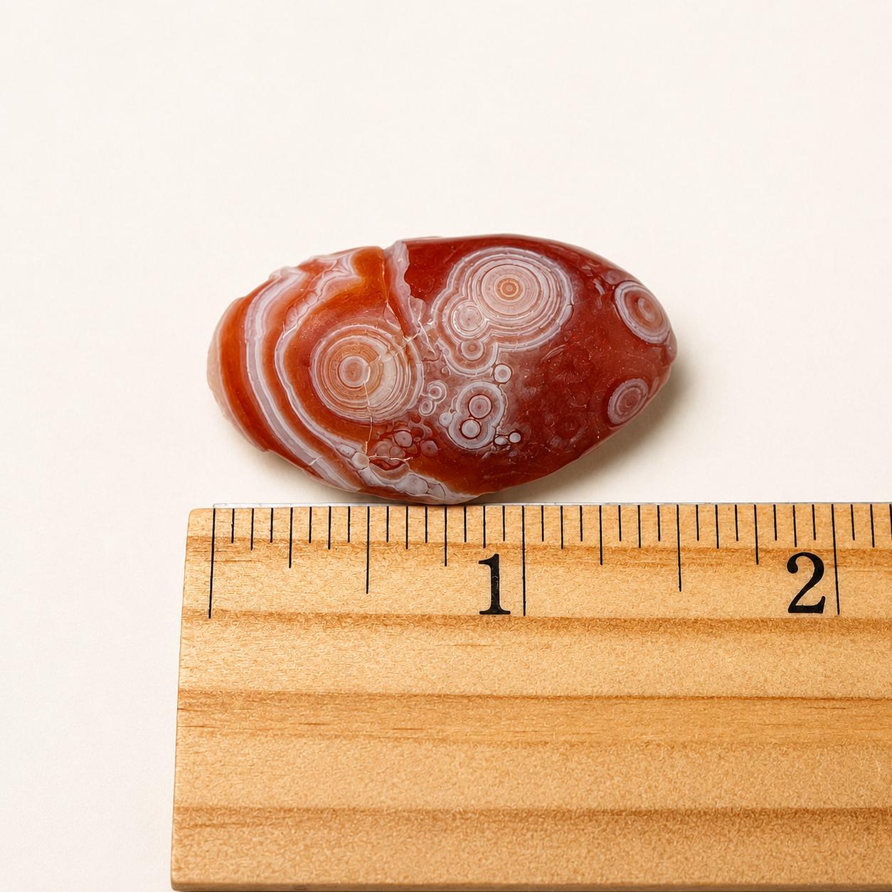 Gobi Agate Tumbles Choice of Color from Gobi Desert