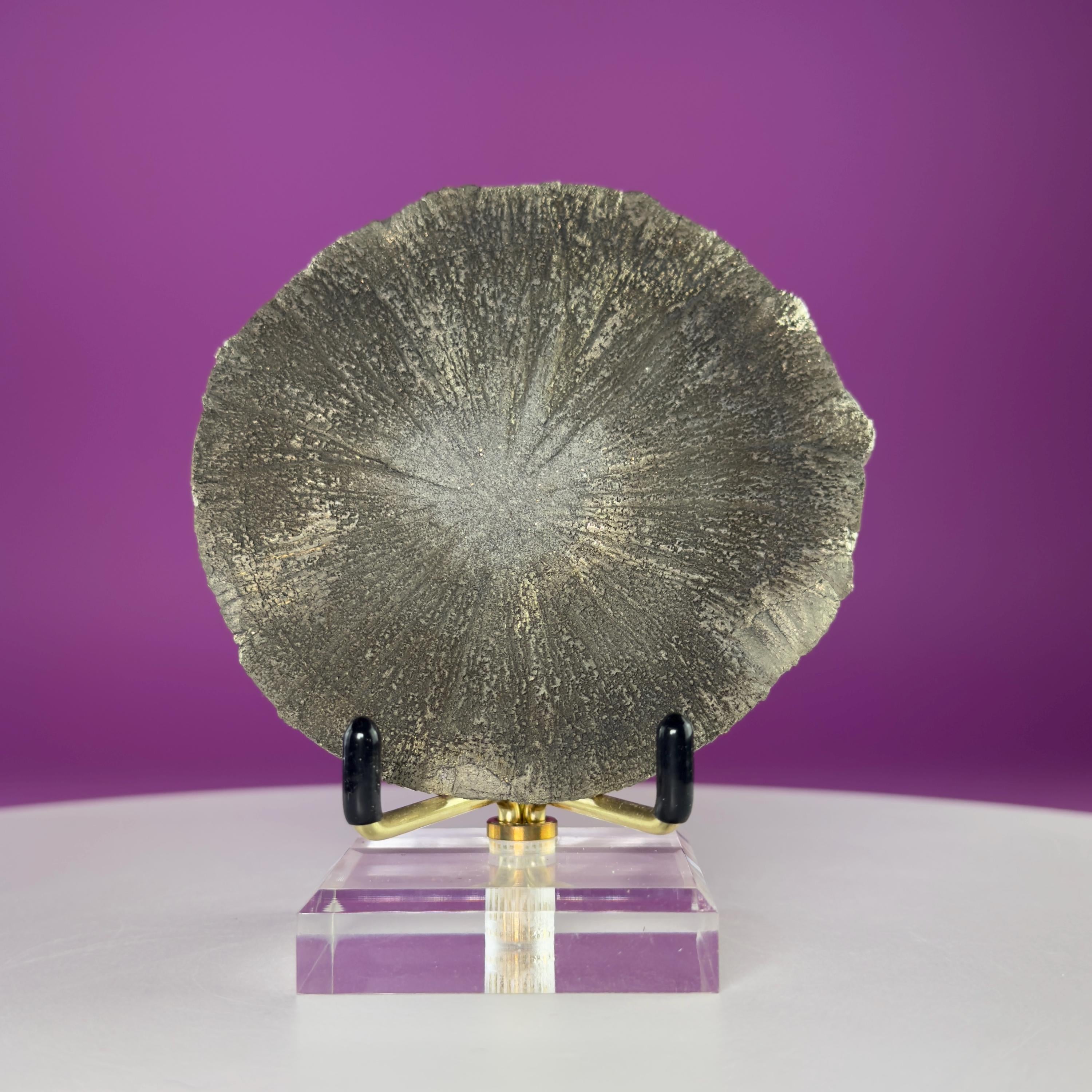Pyrite Sun Crystal Specimen with Gold Metal Acrylic Display Stand