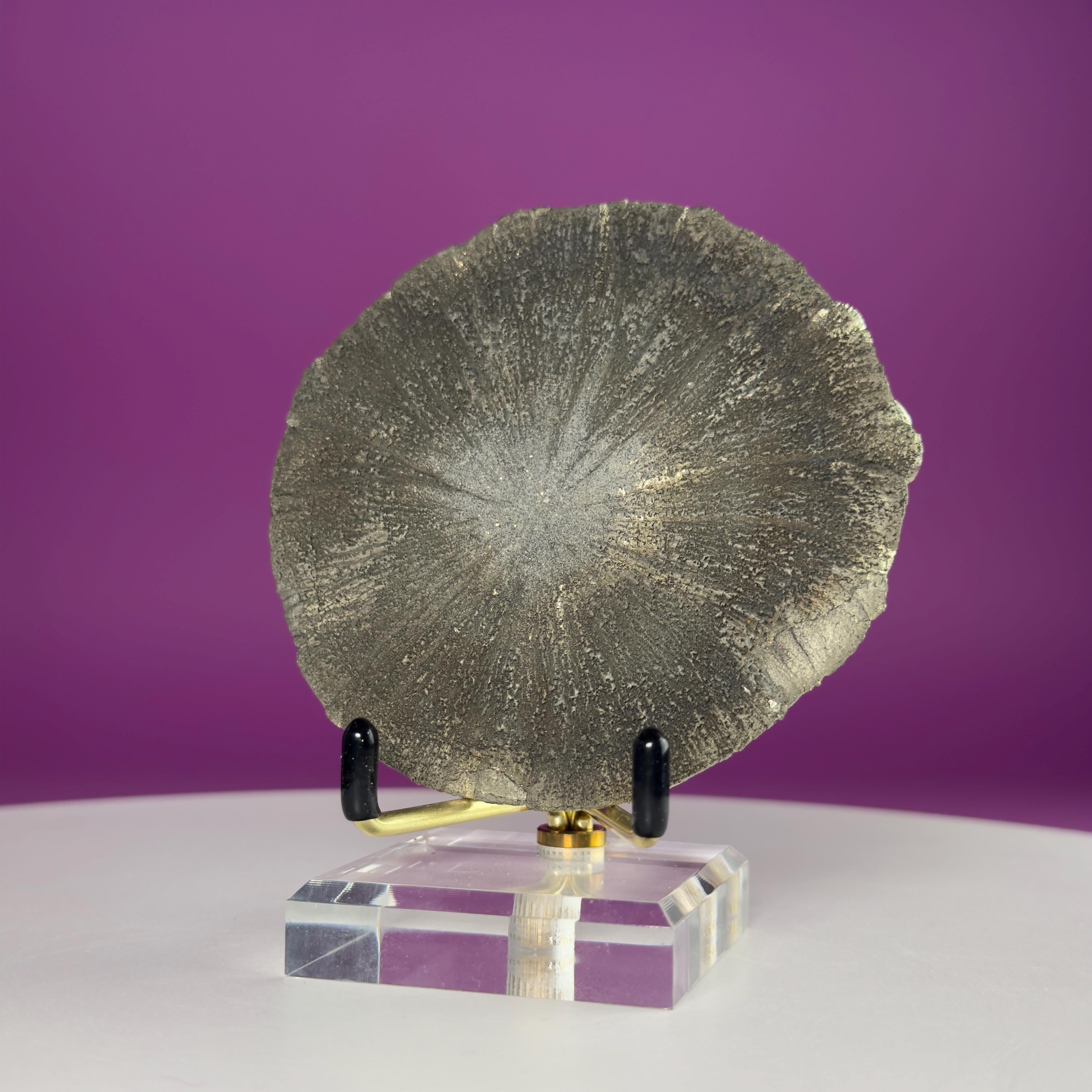 Pyrite Sun Crystal Specimen with Gold Metal Acrylic Display Stand