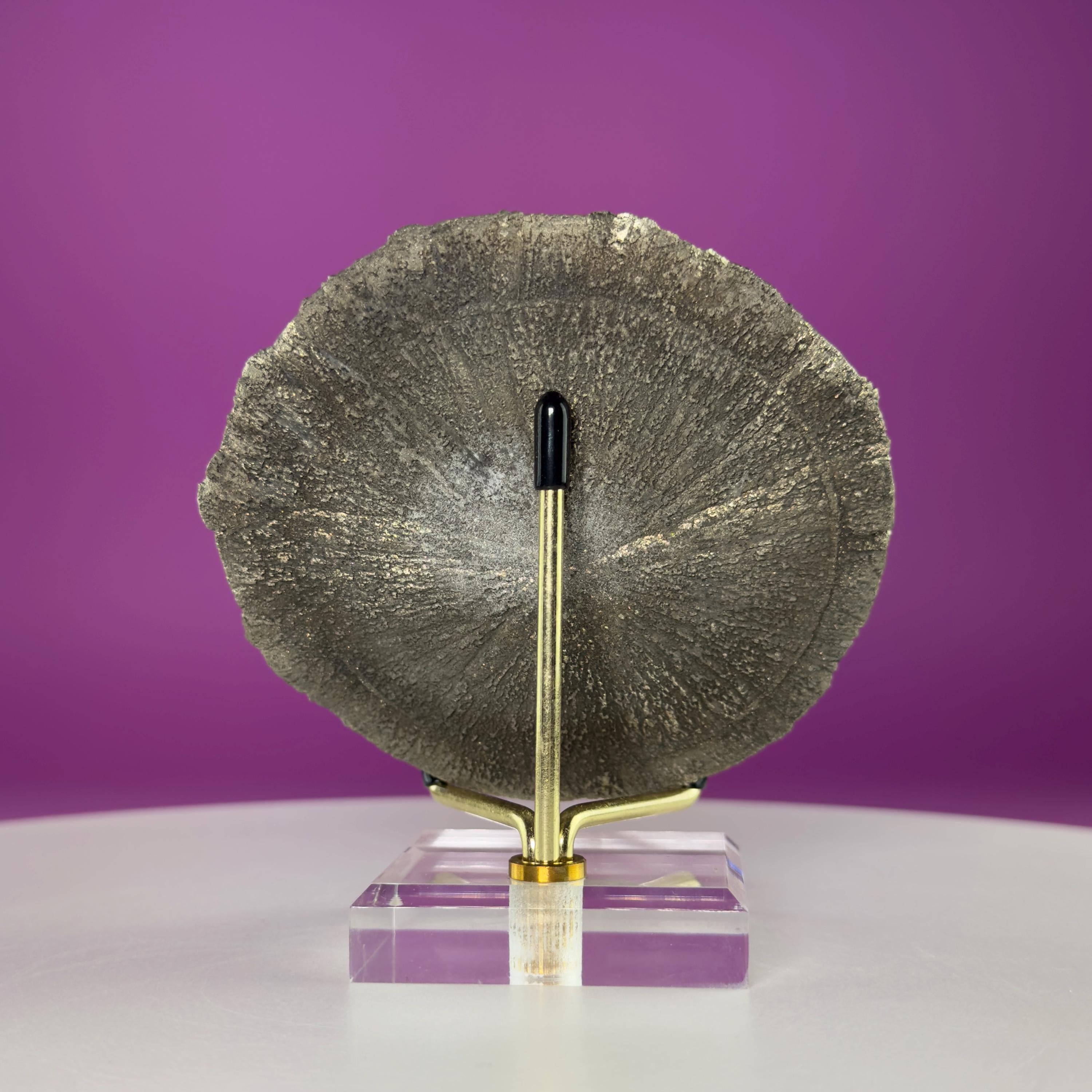 Pyrite Sun Crystal Specimen with Gold Metal Acrylic Display Stand