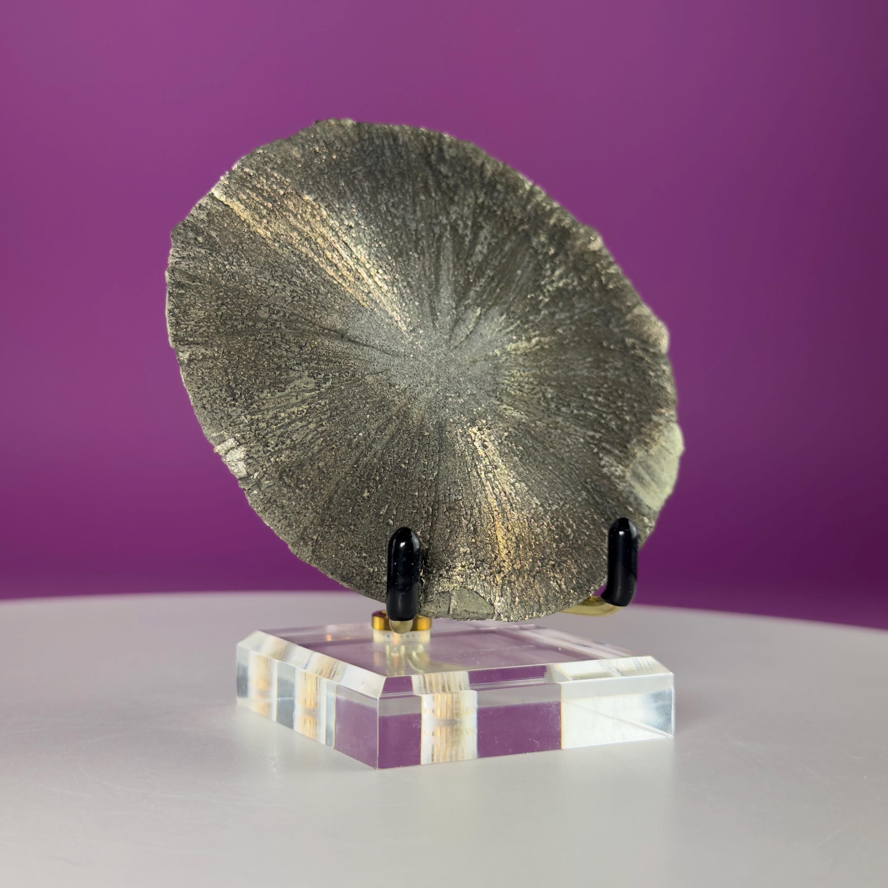 Pyrite Sun Crystal Specimen with Gold Metal Acrylic Display Stand