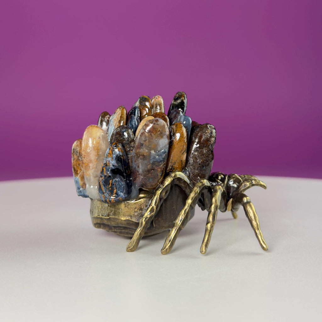 Pietersite Spider Crystal Carving | Halloween Decor | Rare Crystal Gift