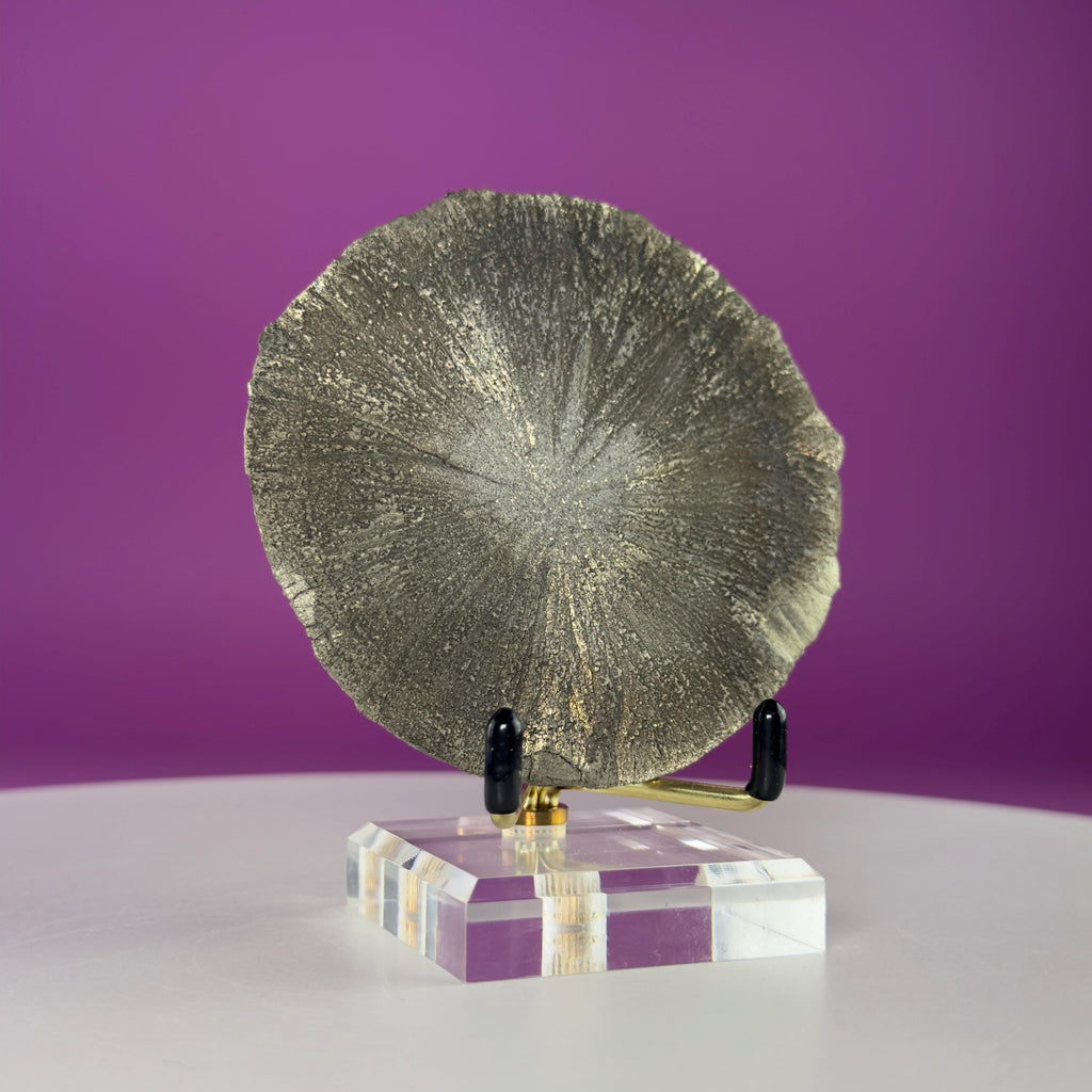Pyrite Sun Crystal Specimen with Gold Metal Acrylic Display Stand
