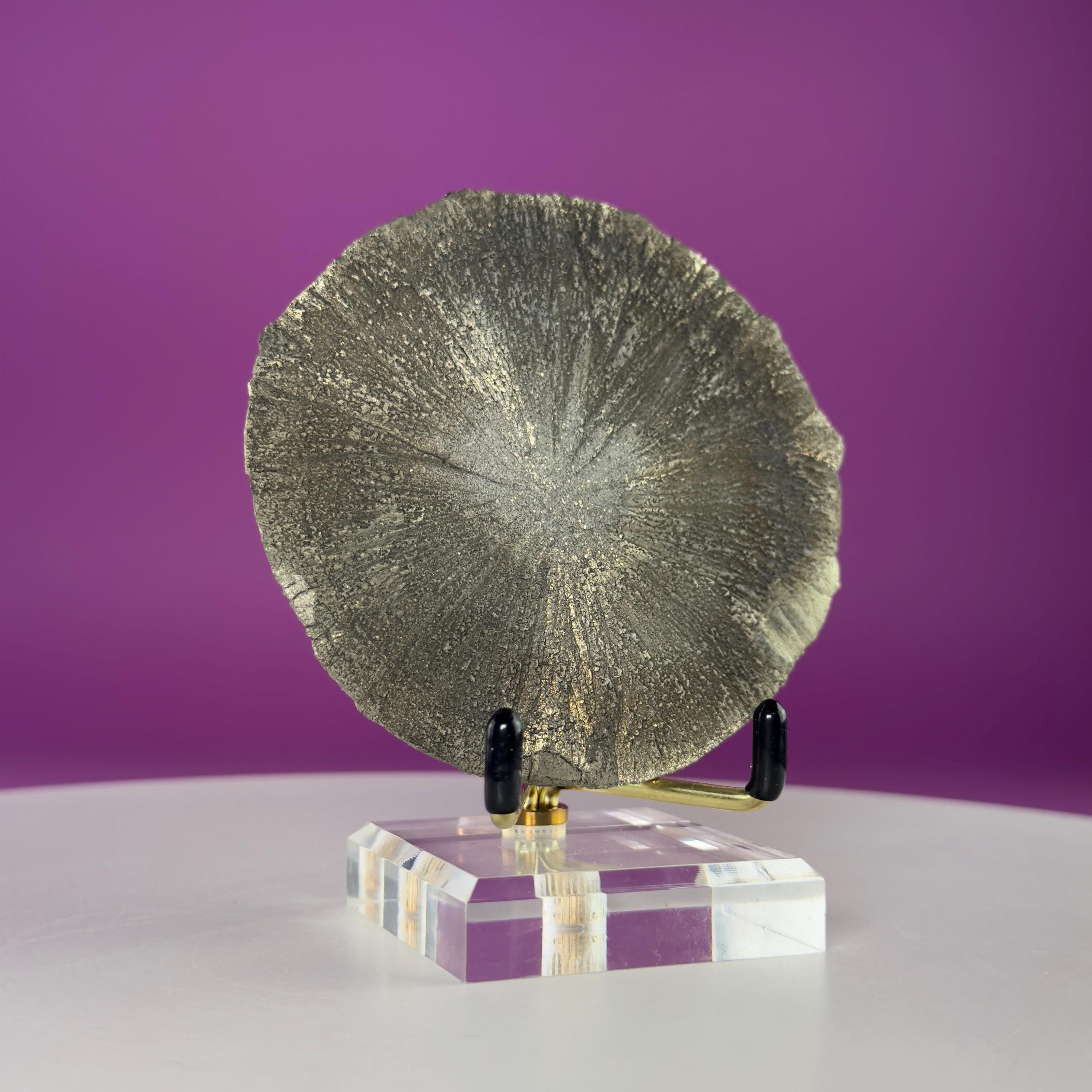 Pyrite Sun Crystal Specimen with Gold Metal Acrylic Display Stand