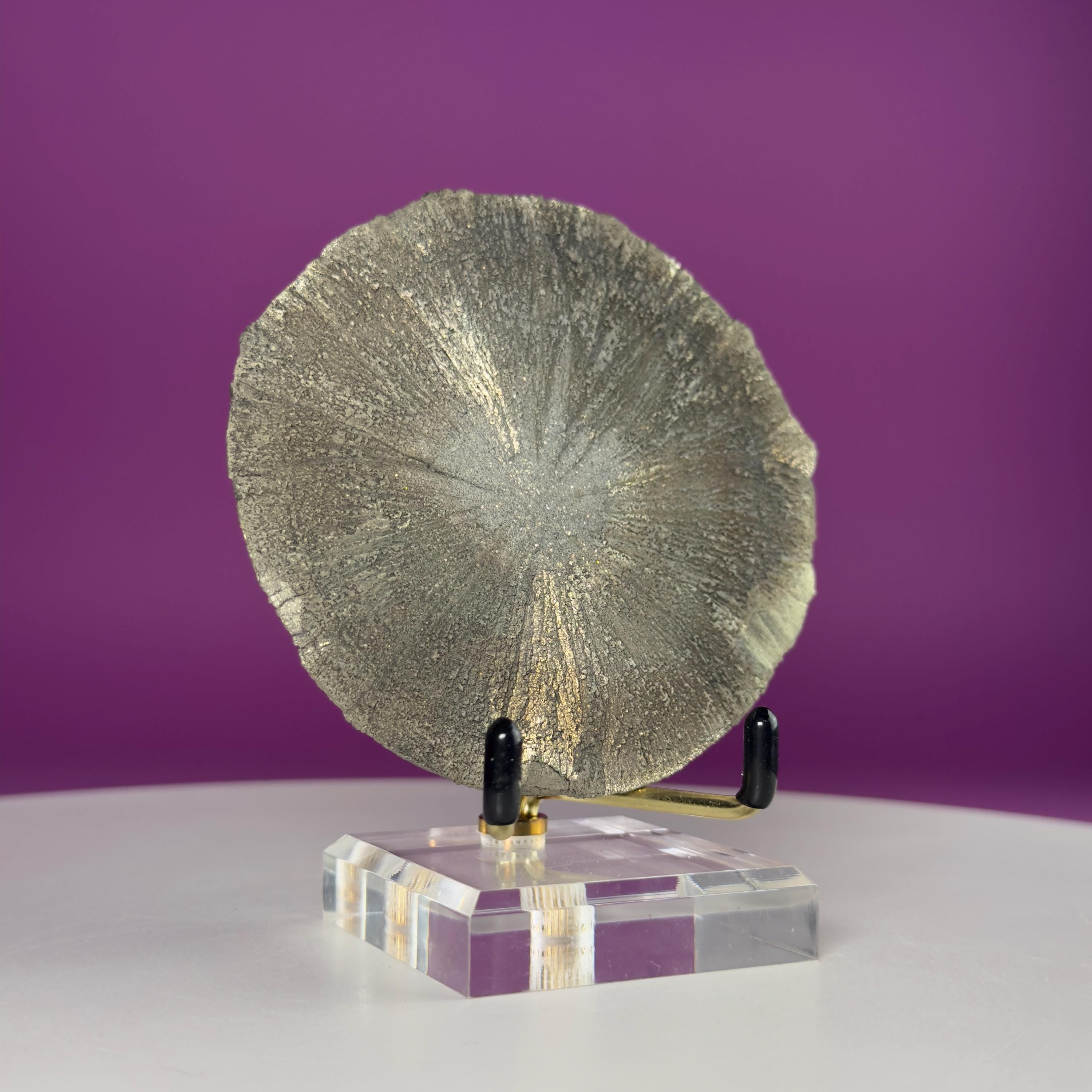 Pyrite Sun Crystal Specimen with Gold Metal Acrylic Display Stand