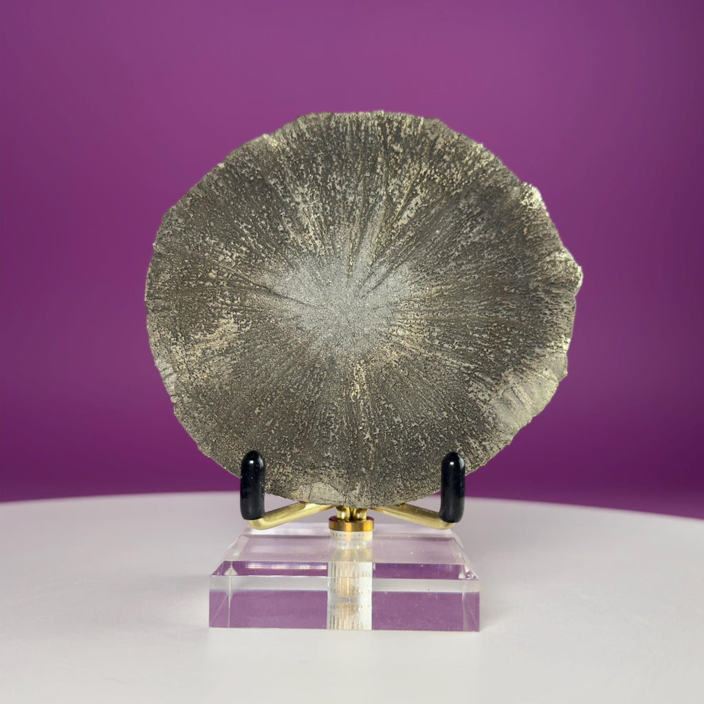 Pyrite Sun Crystal Specimen with Gold Metal Acrylic Display Stand