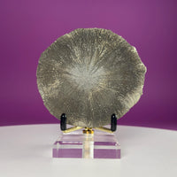 Pyrite Sun Crystal Specimen with Gold Metal Acrylic Display Stand