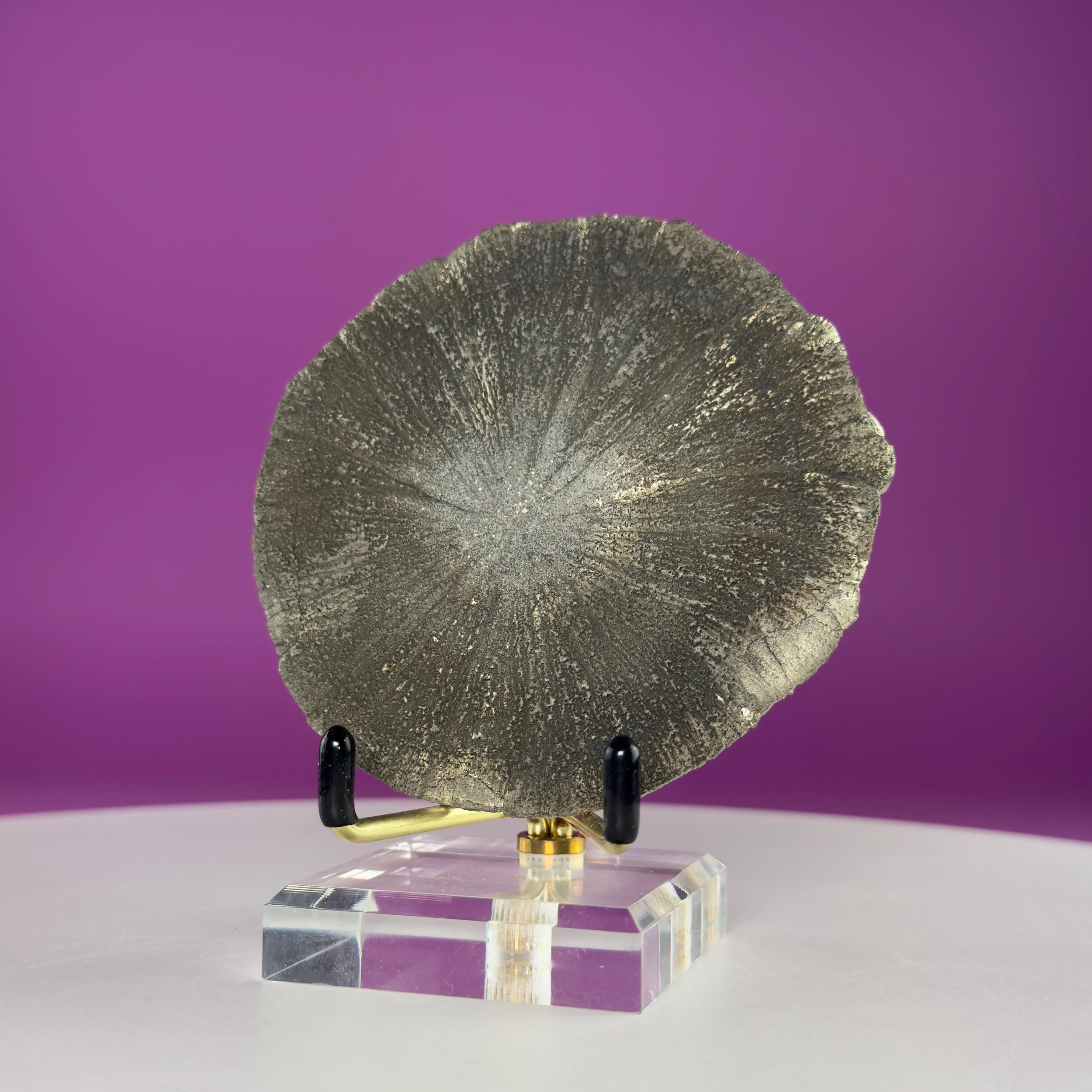 Pyrite Sun Crystal Specimen with Gold Metal Acrylic Display Stand