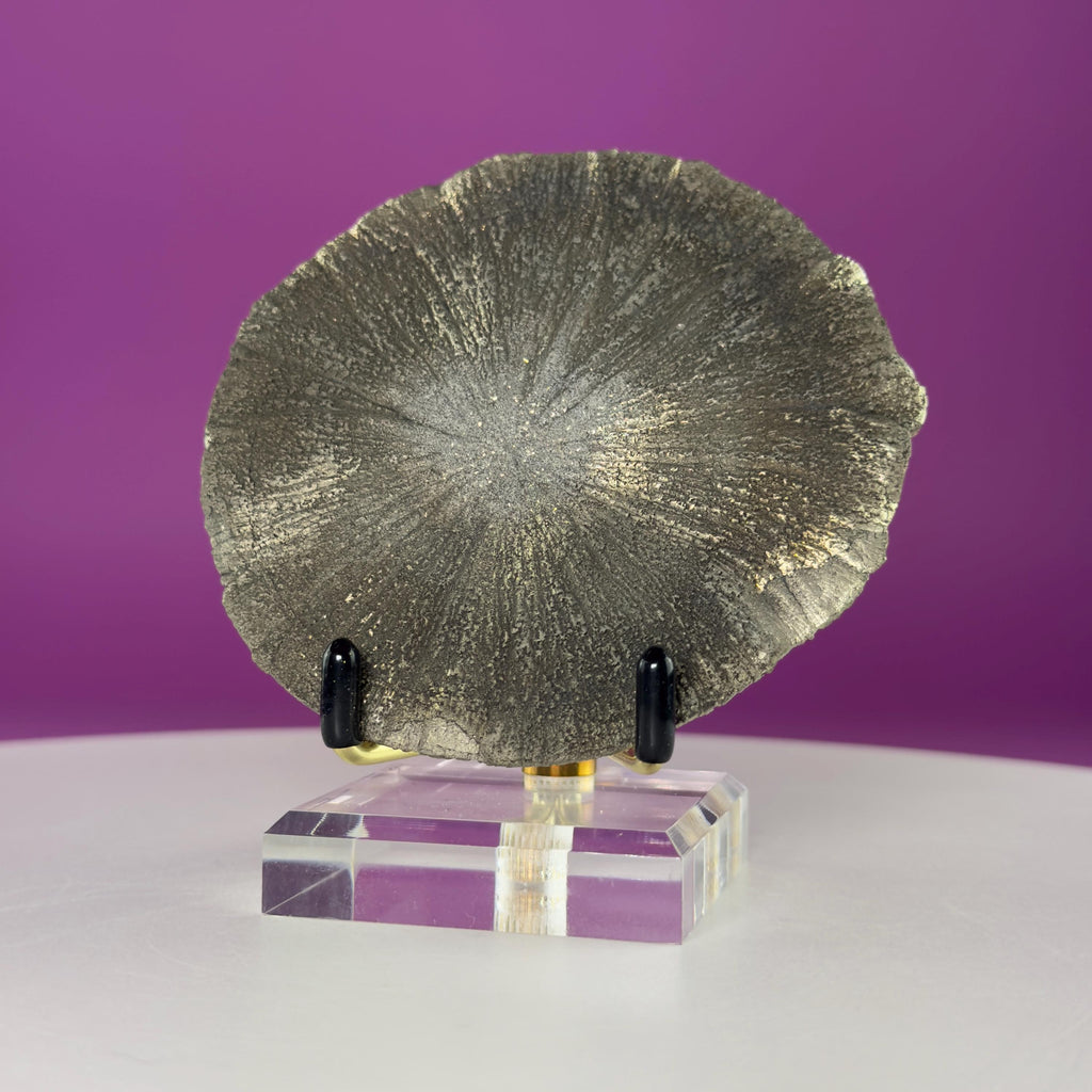 Pyrite Sun Crystal Specimen with Gold Metal Acrylic Display Stand