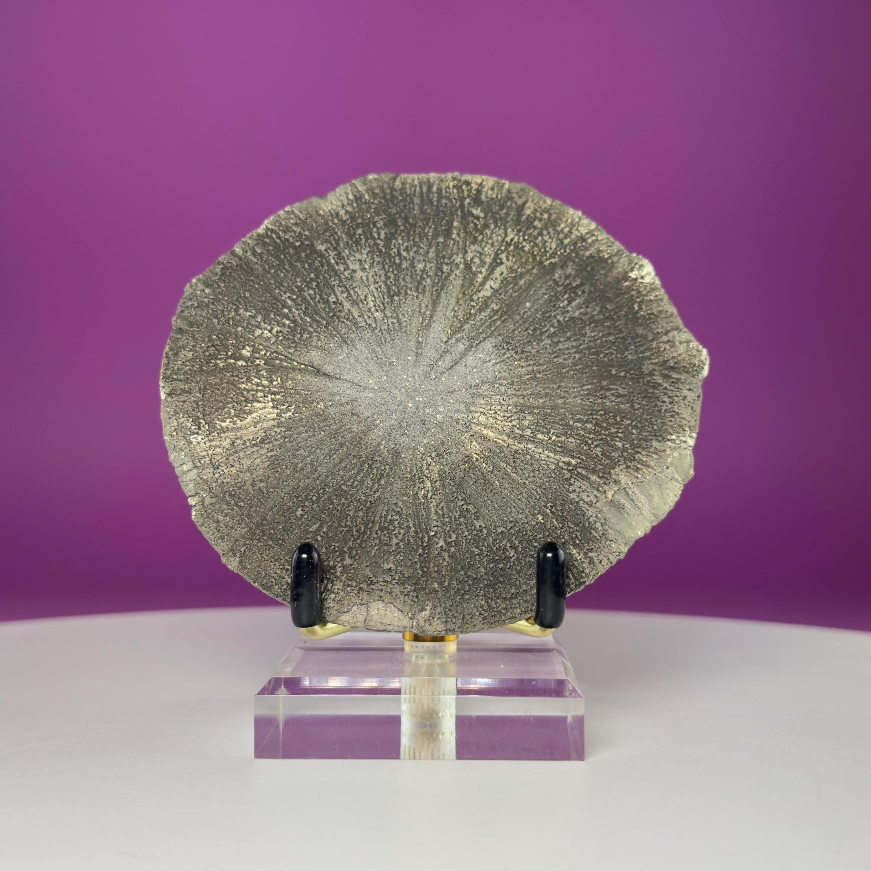 Pyrite Sun Crystal Specimen with Gold Metal Acrylic Display Stand