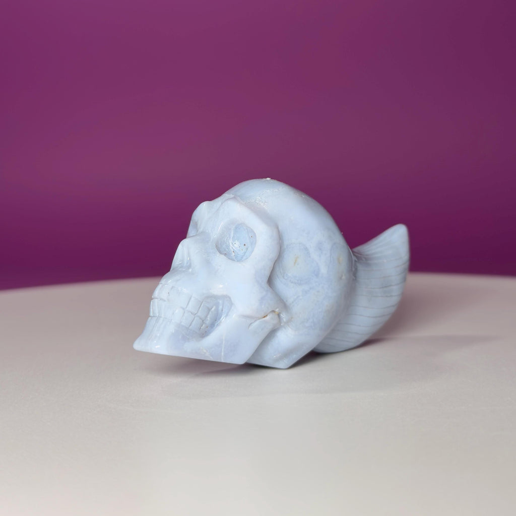 Blue Lace Agate Traveler Skull Carving | Crystal Skull | Collector Display