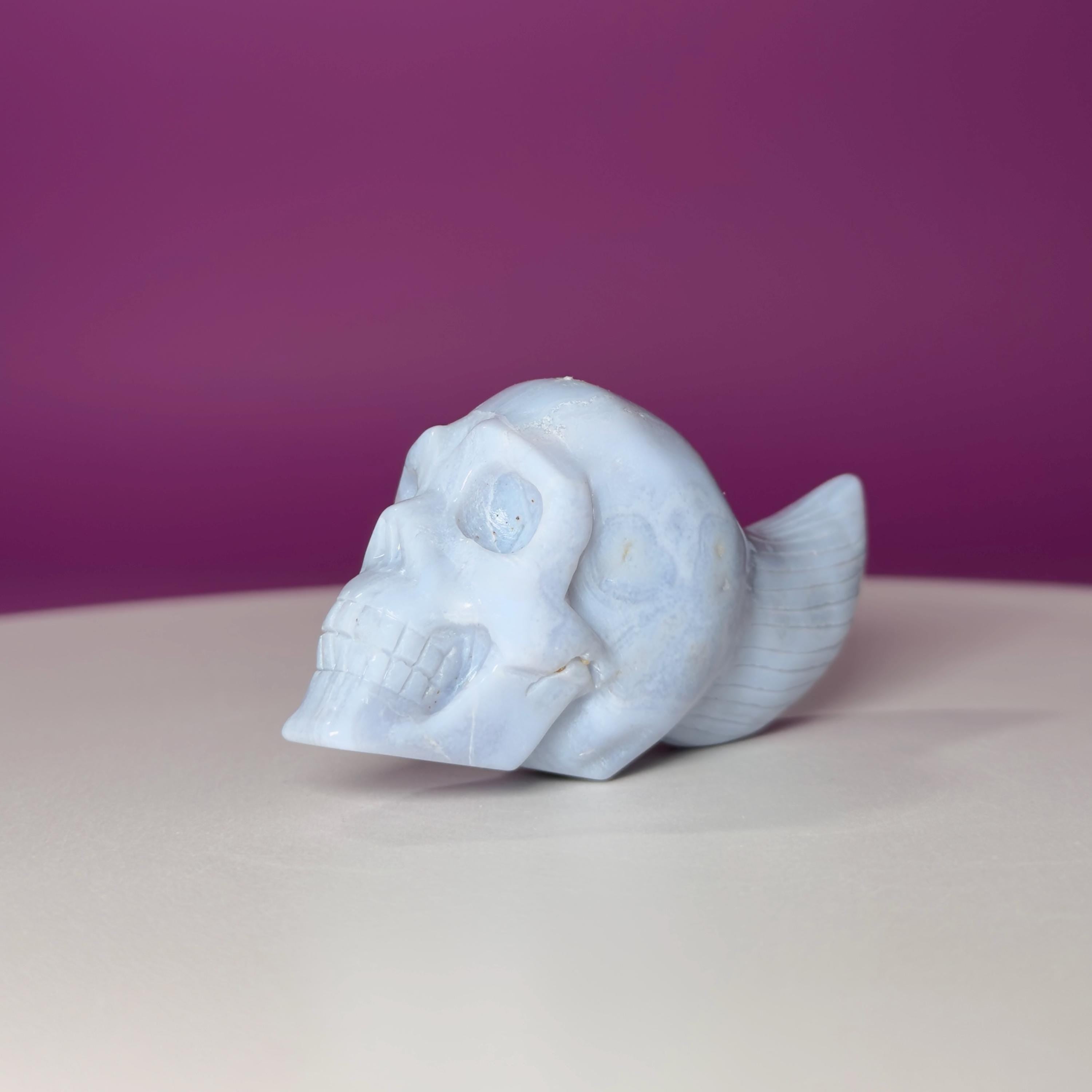Blue Lace Agate Traveler Skull Carving | Crystal Skull | Collector Display