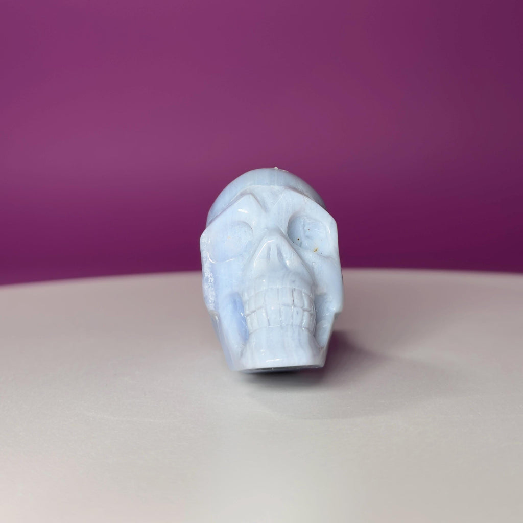 Blue Lace Agate Traveler Skull Carving | Crystal Skull | Collector Display