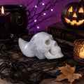 Blue Lace Agate Traveler Skull Carving | Crystal Skull | Collector Display