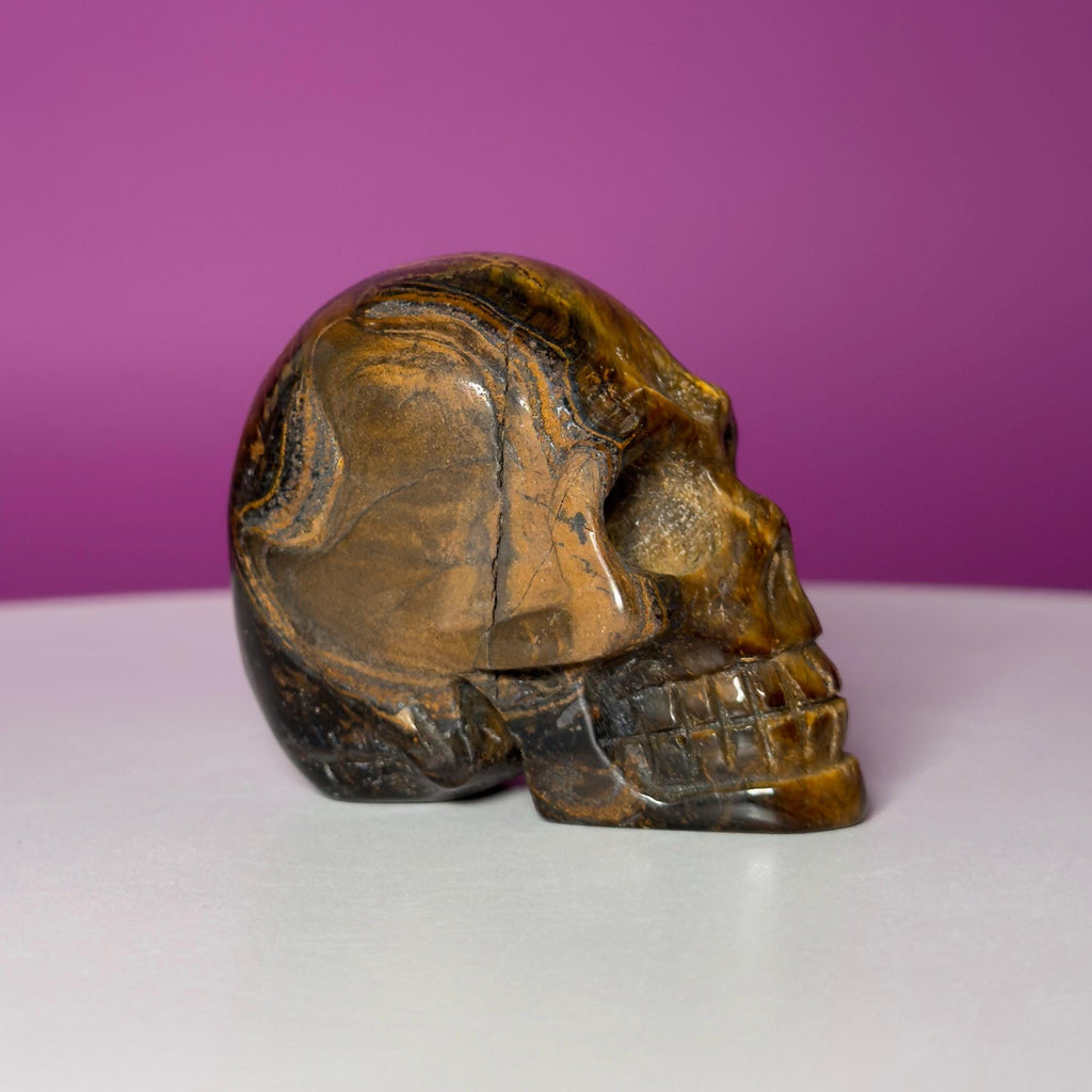 Tiger Eye Skull | Natural Golden Brown Crystal Carving
