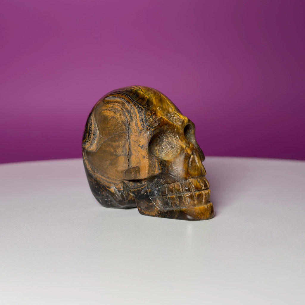 Tiger Eye Skull | Natural Golden Brown Crystal Carving