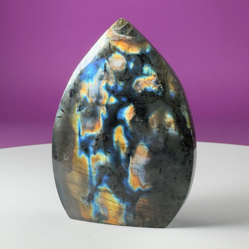 Finland Labradorite Flame | Premium Spectrolite Crystal Display | Akoni Crystals
