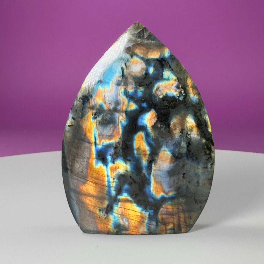 Finland Labradorite Flame | Premium Spectrolite Crystal Display | Akoni Crystals