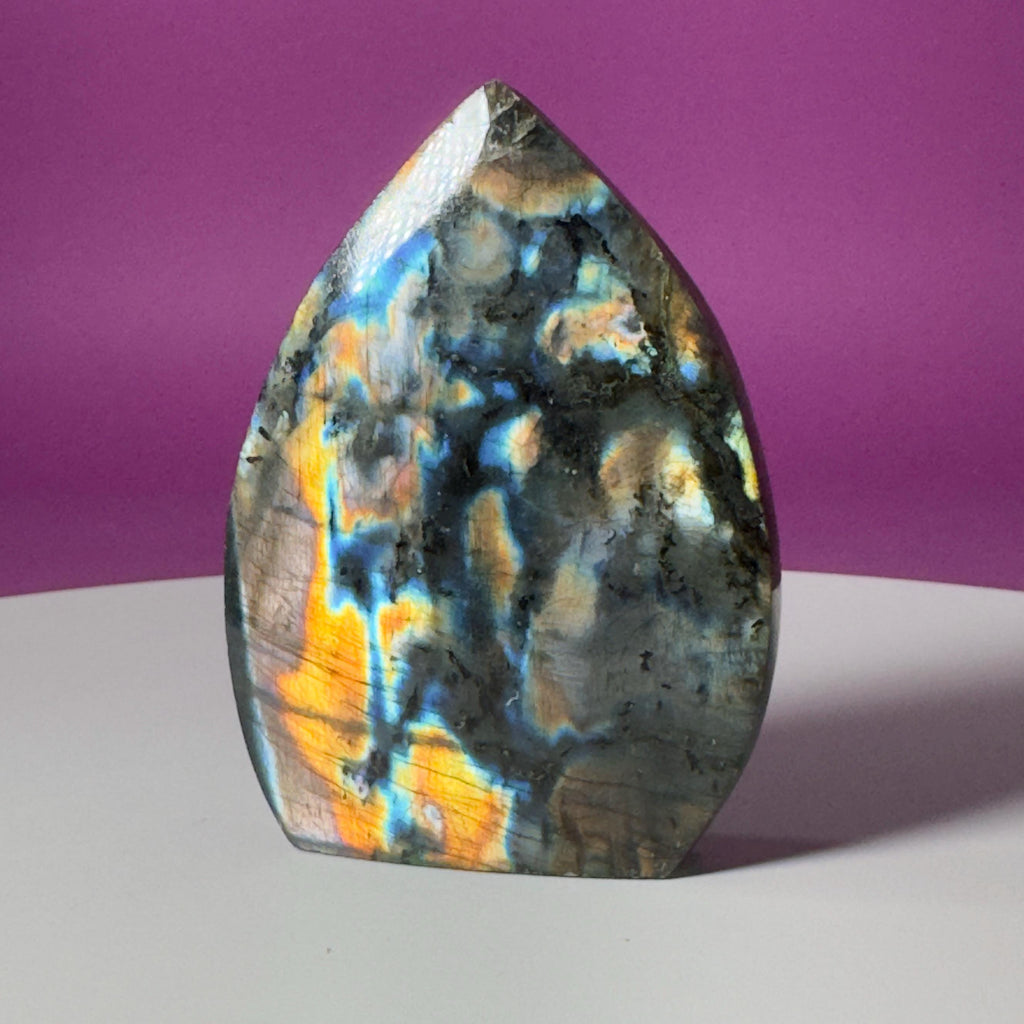 Finland Labradorite Flame | Premium Spectrolite Crystal Display | Akoni Crystals