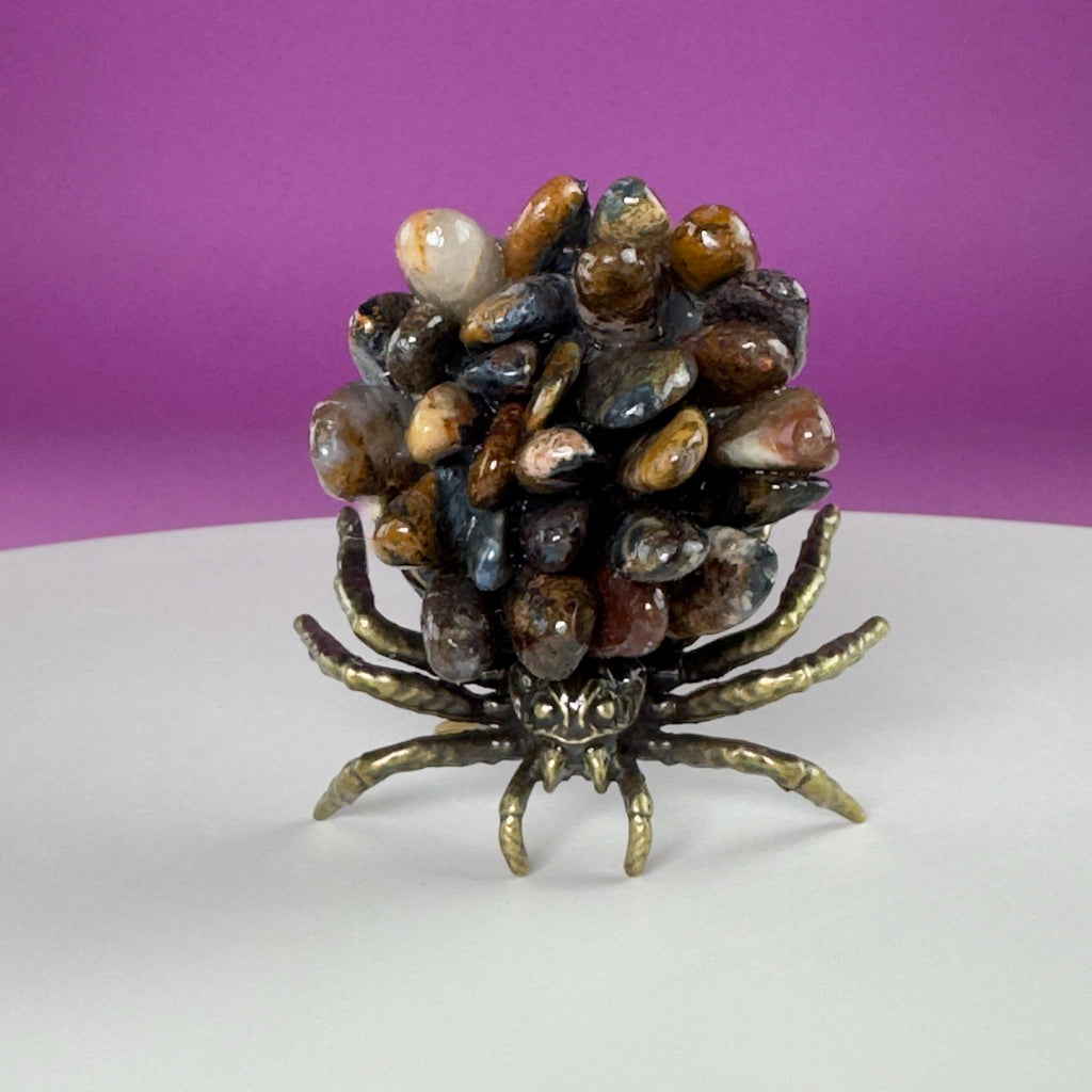 Pietersite Spider Crystal Carving | Halloween Decor | Rare Crystal Gift