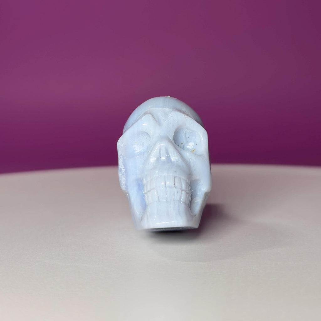 Blue Lace Agate Traveler Skull Carving | Crystal Skull | Collector Display