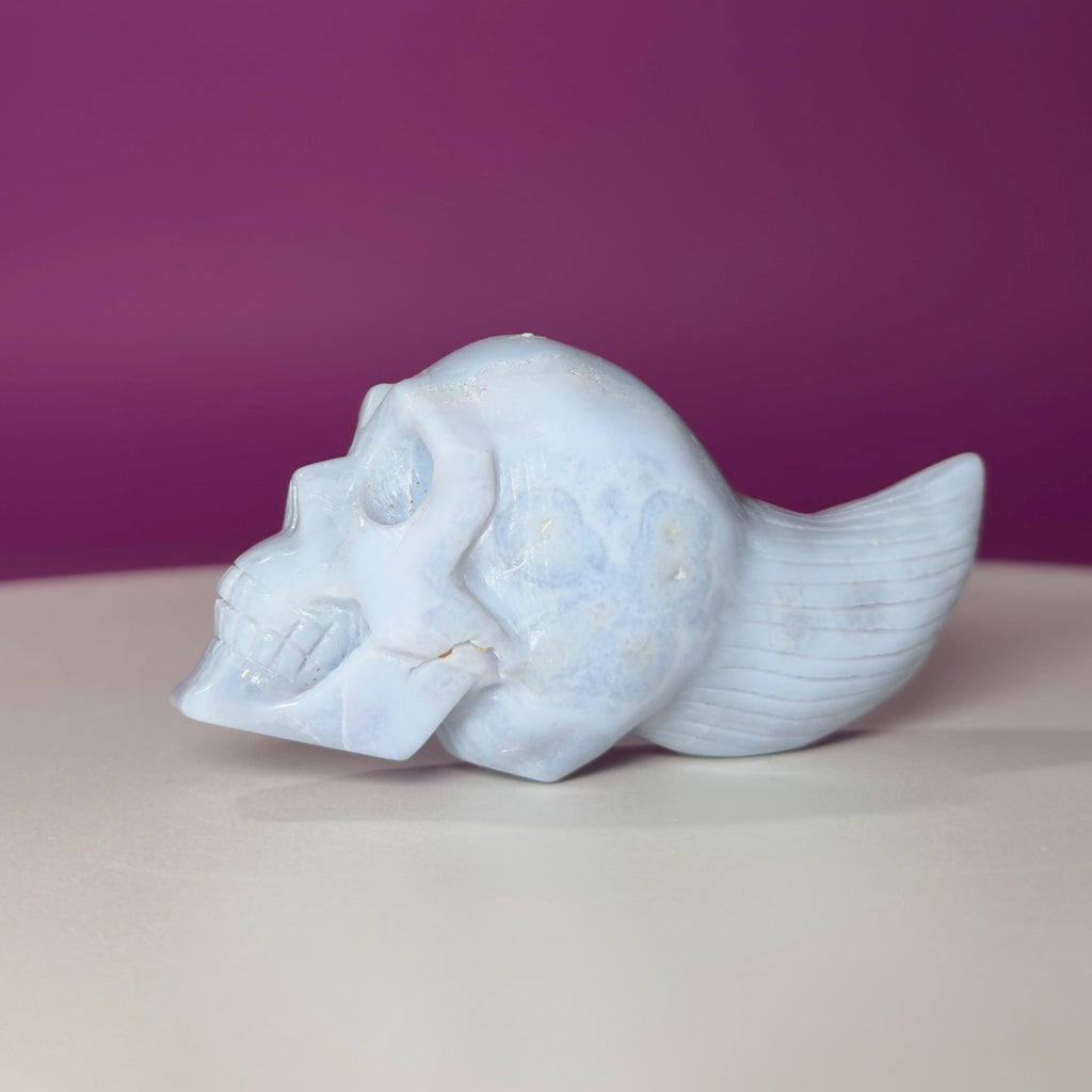 Blue Lace Agate Traveler Skull Carving | Crystal Skull | Collector Display