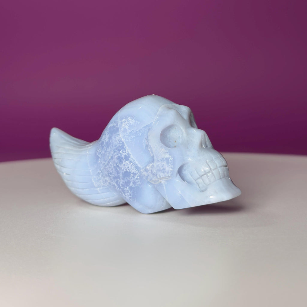 Blue Lace Agate Traveler Skull Carving | Crystal Skull | Collector Display