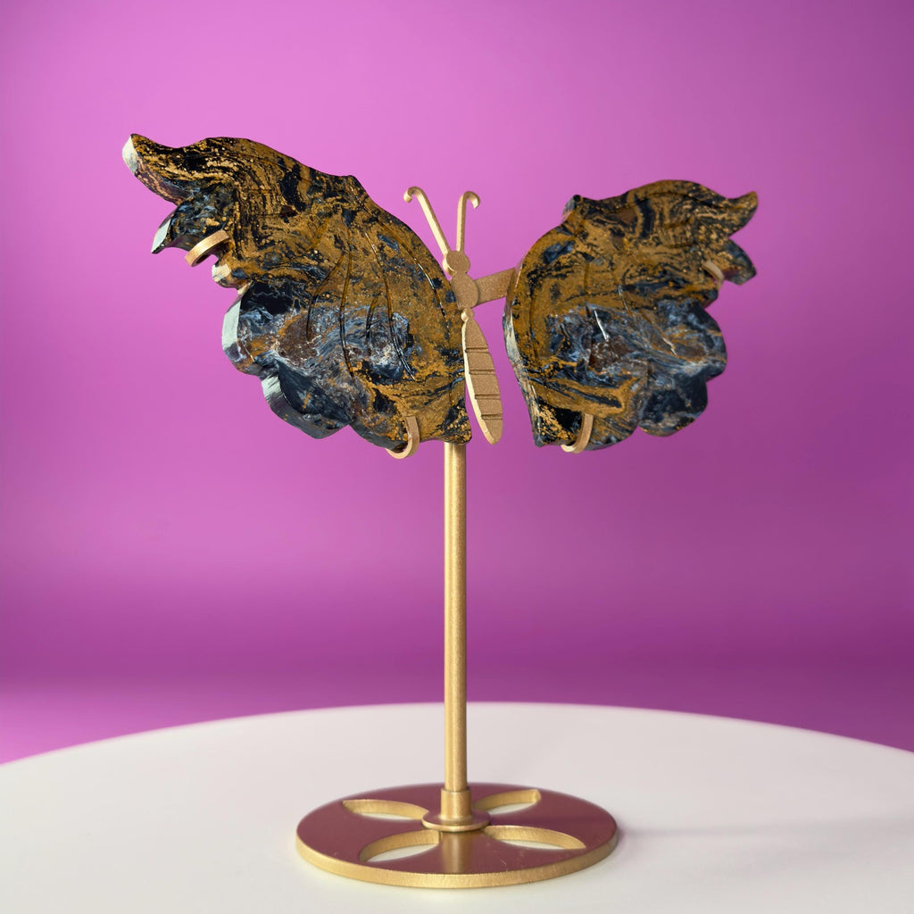 Namibian Pietersite Butterfly with Gold Metal Display Stand