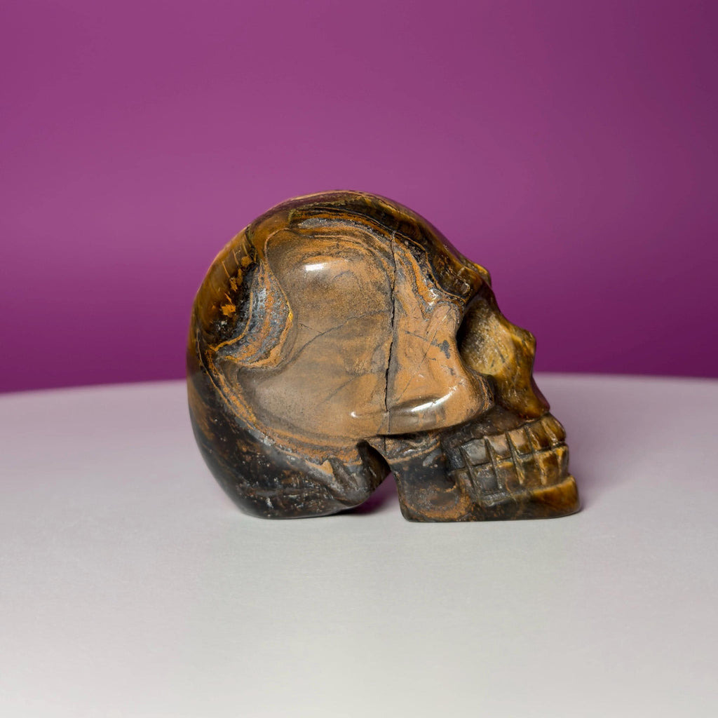 Tiger Eye Skull | Natural Golden Brown Crystal Carving