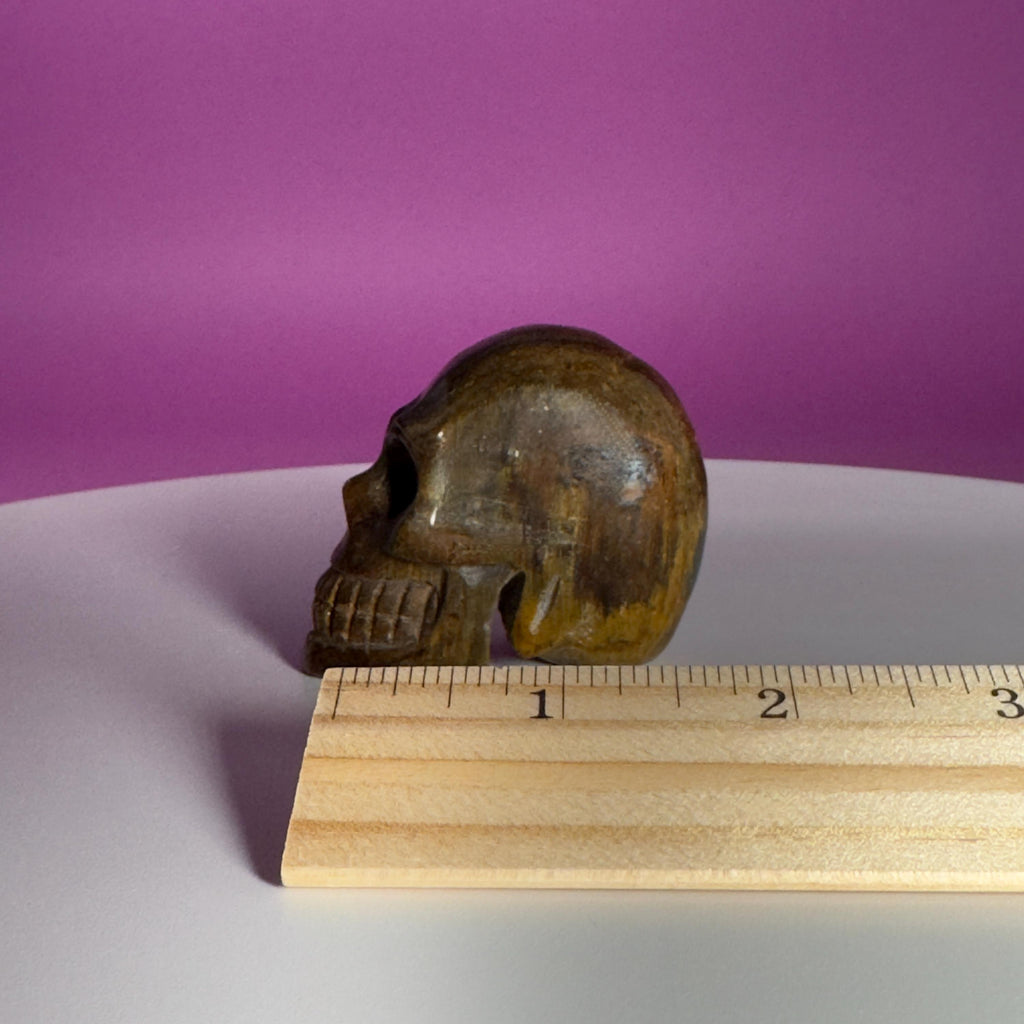 Tiger Eye Skull | Natural Golden Brown Crystal Carving