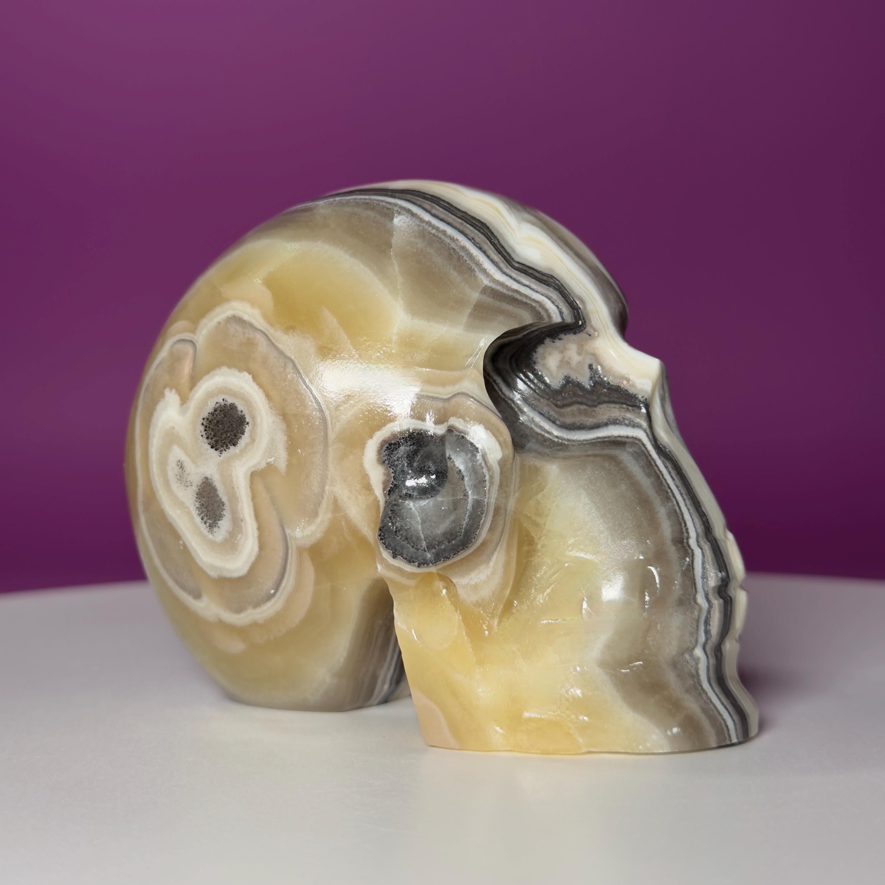 Zebra Calcite Skull from Mexico | Large Banded Crystal Skull | Collector Display