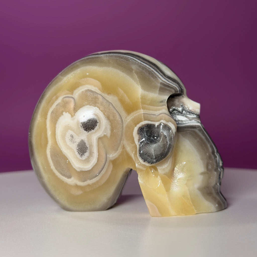 Zebra Calcite Skull from Mexico | Large Banded Crystal Skull | Collector Display