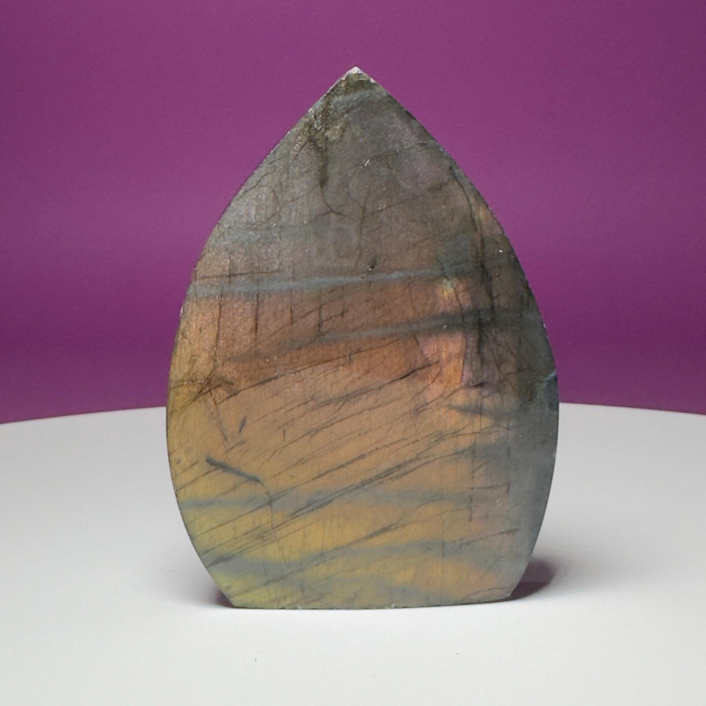 Finland Labradorite Flame | Premium Spectrolite Crystal Display | Akoni Crystals