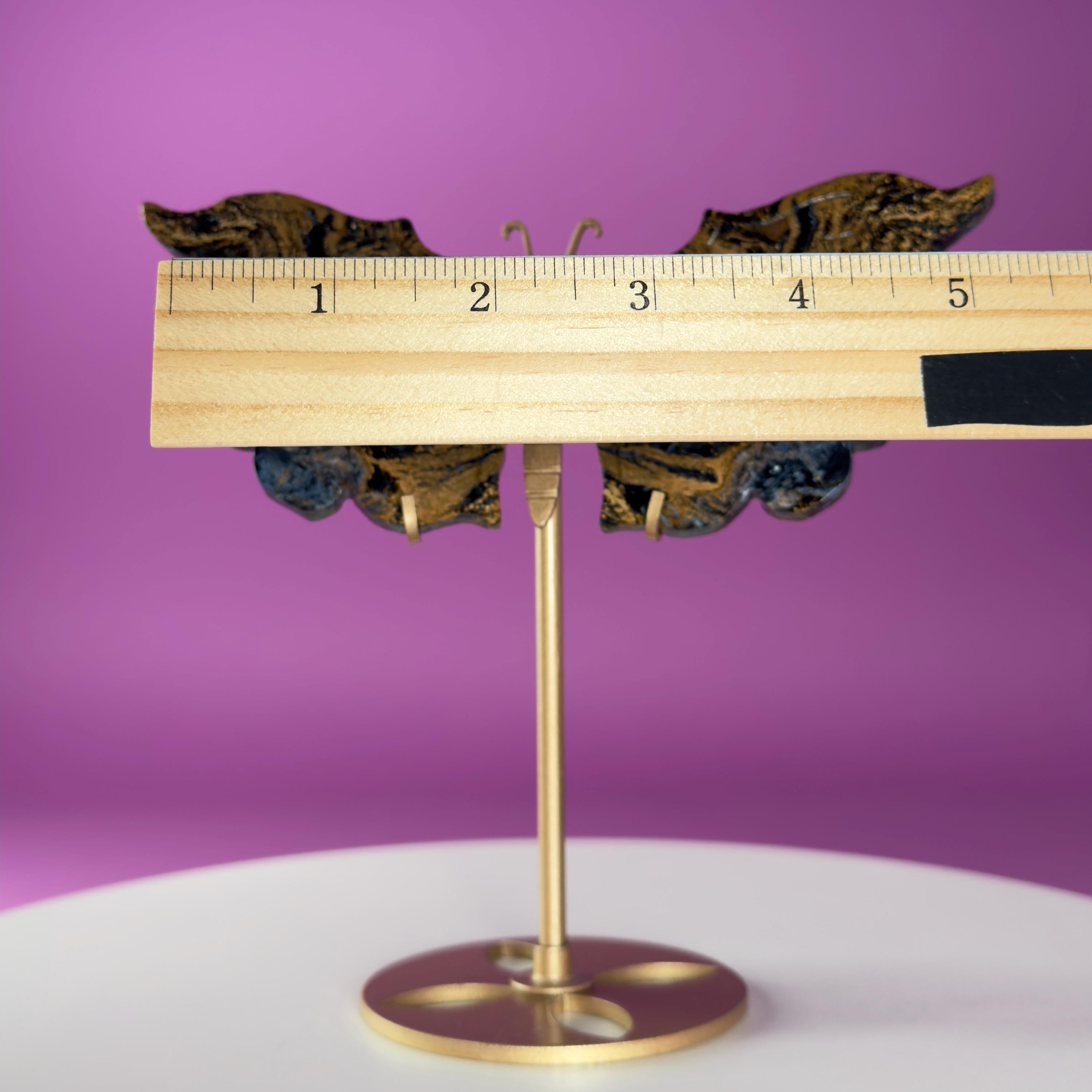 Namibian Pietersite Butterfly with Gold Metal Display Stand
