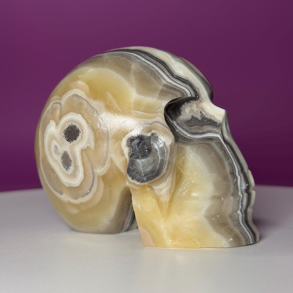 Zebra Calcite Skull from Mexico | Large Banded Crystal Skull | Collector Display