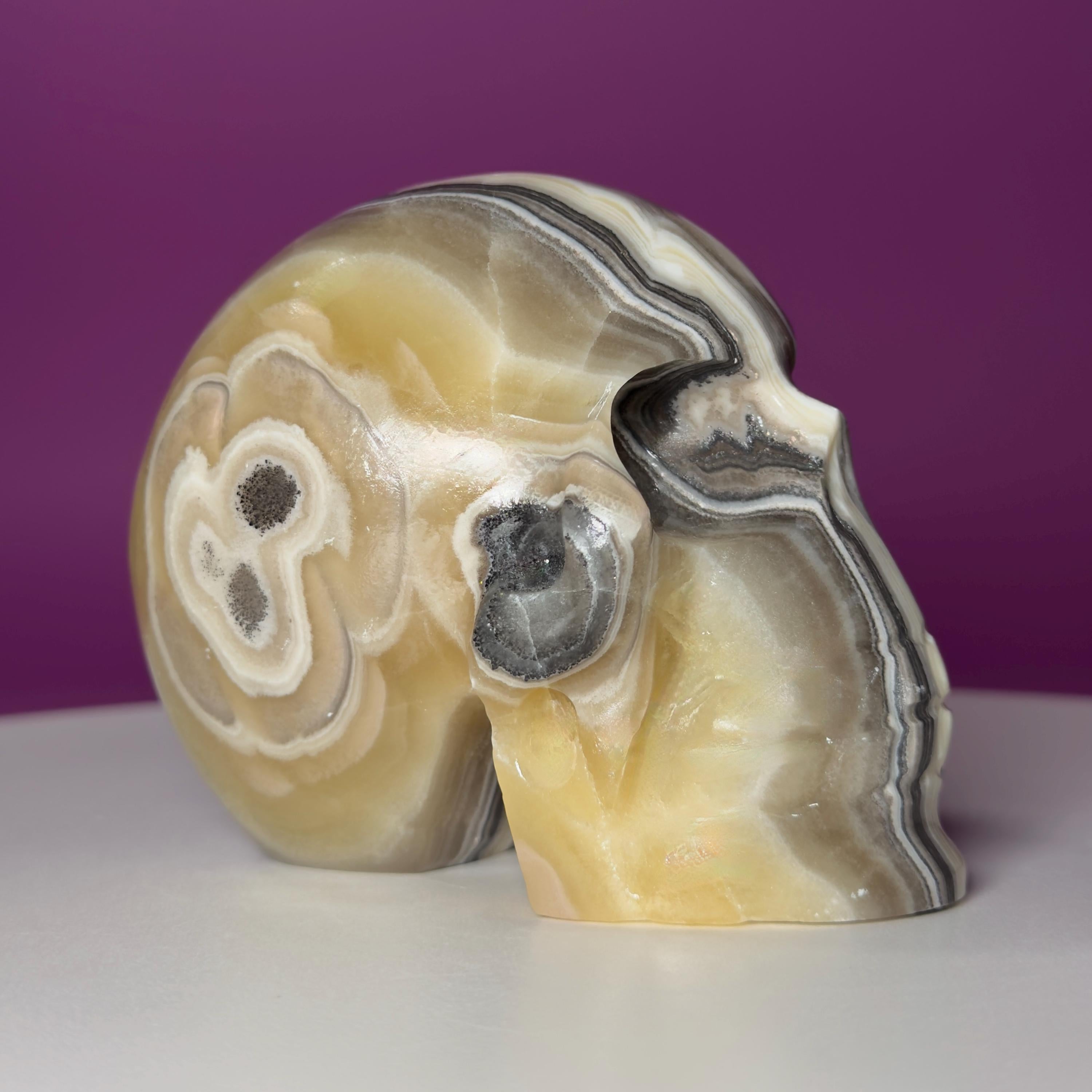 Zebra Calcite Skull from Mexico | Large Banded Crystal Skull | Collector Display
