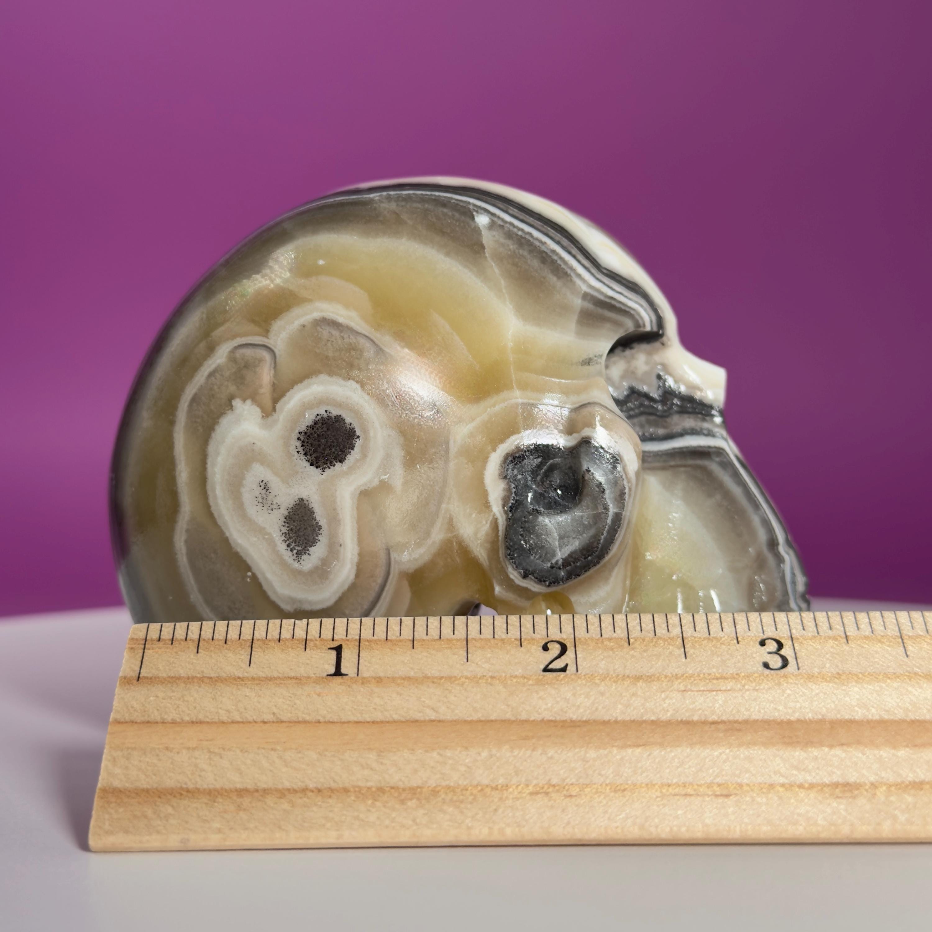 Zebra Calcite Skull from Mexico | Large Banded Crystal Skull | Collector Display
