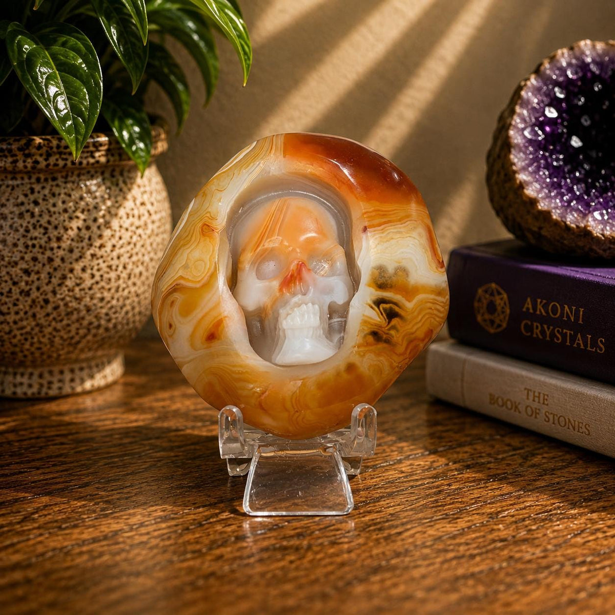 Sardonyx Skull Carving | Crystal Palm Stone | Banded Agate | 83g