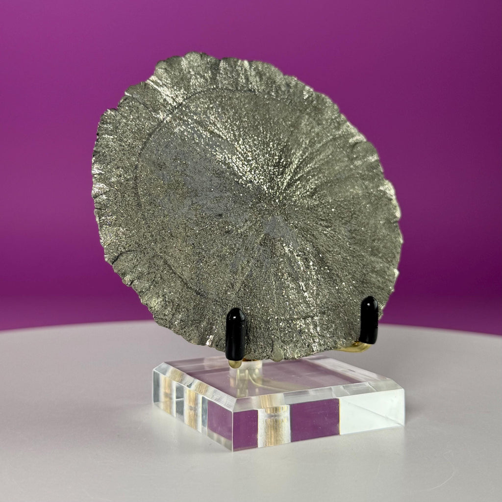 Pyrite Sun Specimen with Gold Metal & Acrylic Stand