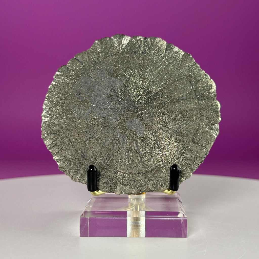 Pyrite Sun Specimen with Gold Metal & Acrylic Stand