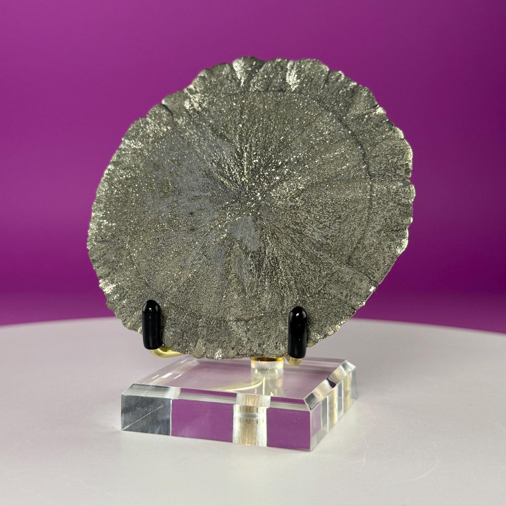 Pyrite Sun Specimen with Gold Metal & Acrylic Stand