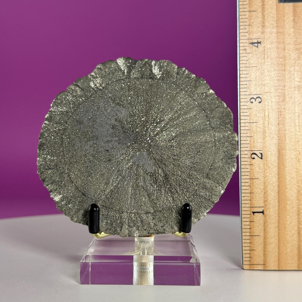 Pyrite Sun Specimen with Gold Metal & Acrylic Stand