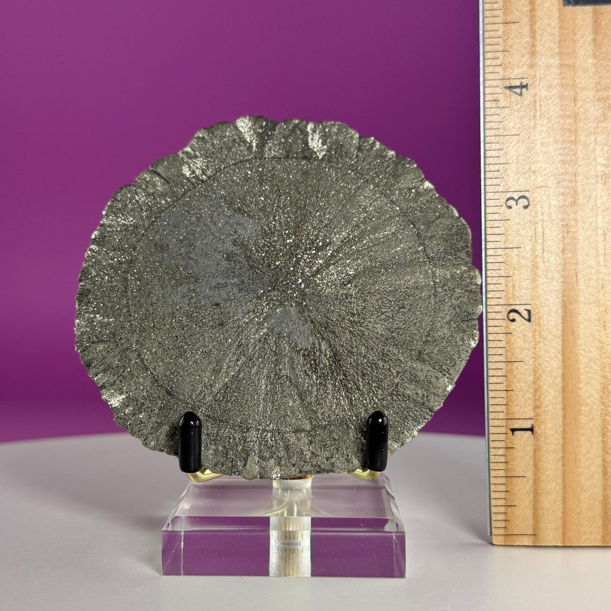 Pyrite Sun Specimen with Gold Metal & Acrylic Stand