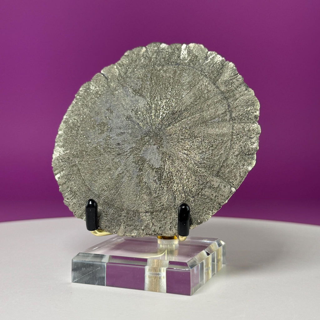Pyrite Sun Specimen with Gold Metal & Acrylic Stand