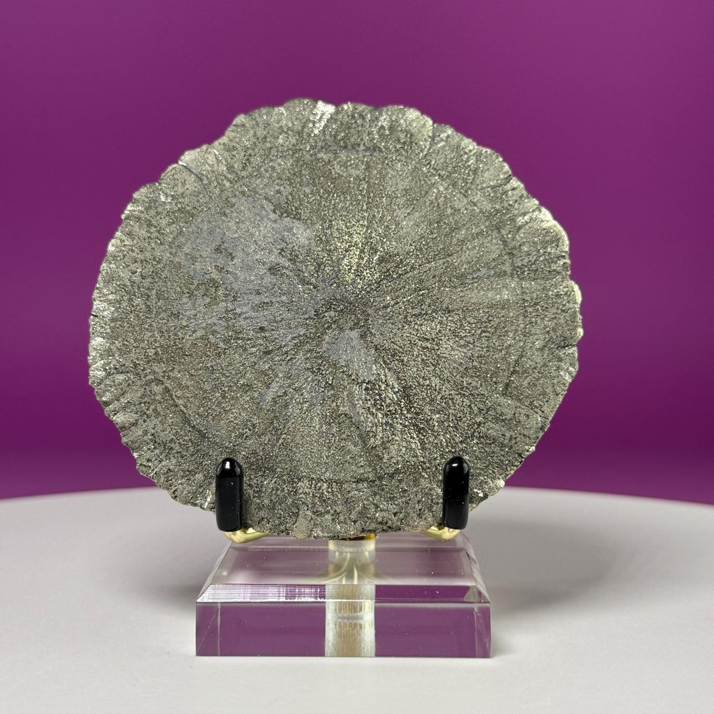 Pyrite Sun Specimen with Gold Metal & Acrylic Stand