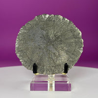 Pyrite Sun Specimen with Gold Metal & Acrylic Stand