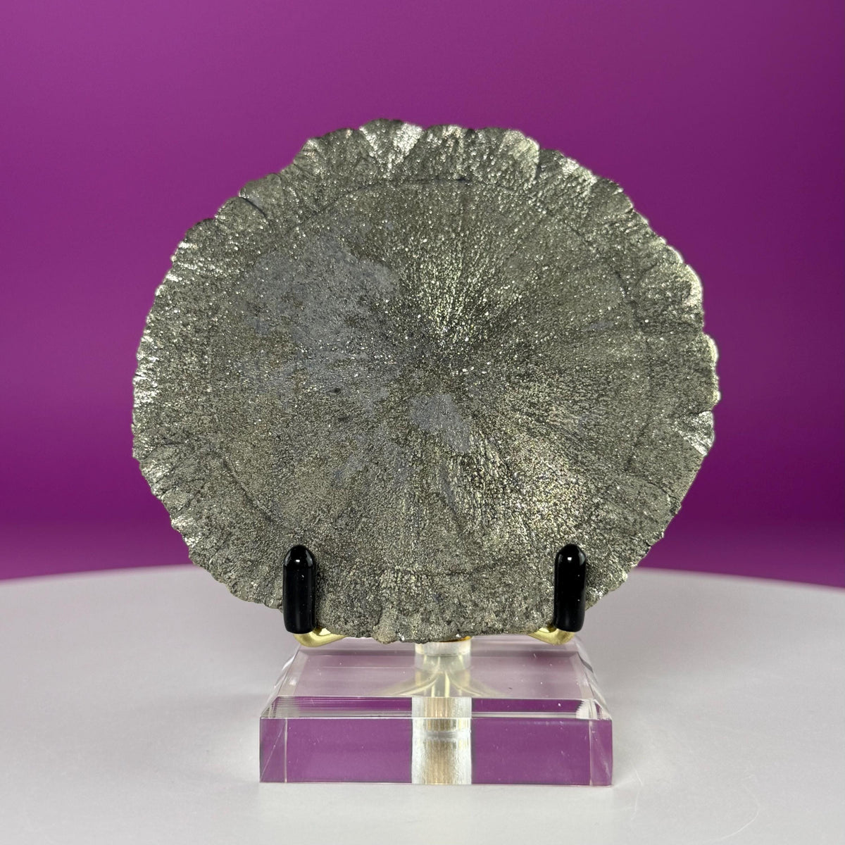 Pyrite Sun Specimen with Gold Metal & Acrylic Stand