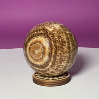 Peruvian Aragonite Sphere with Wood Stand