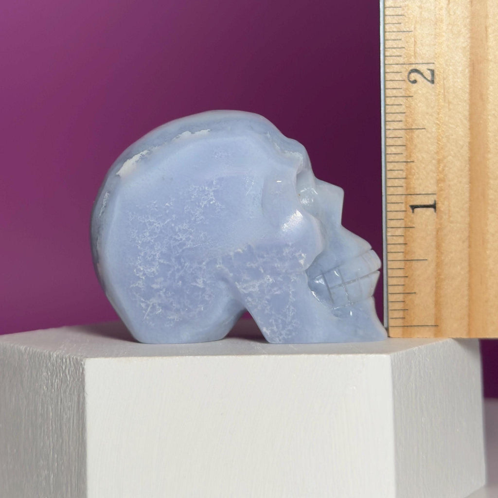 Blue Lace Agate Skull Carving – Natural Blue Banded Crystal