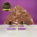 Rare Selenite on Matrix from Bermejillo, Mexico – 416g Collector Specimen with Stand